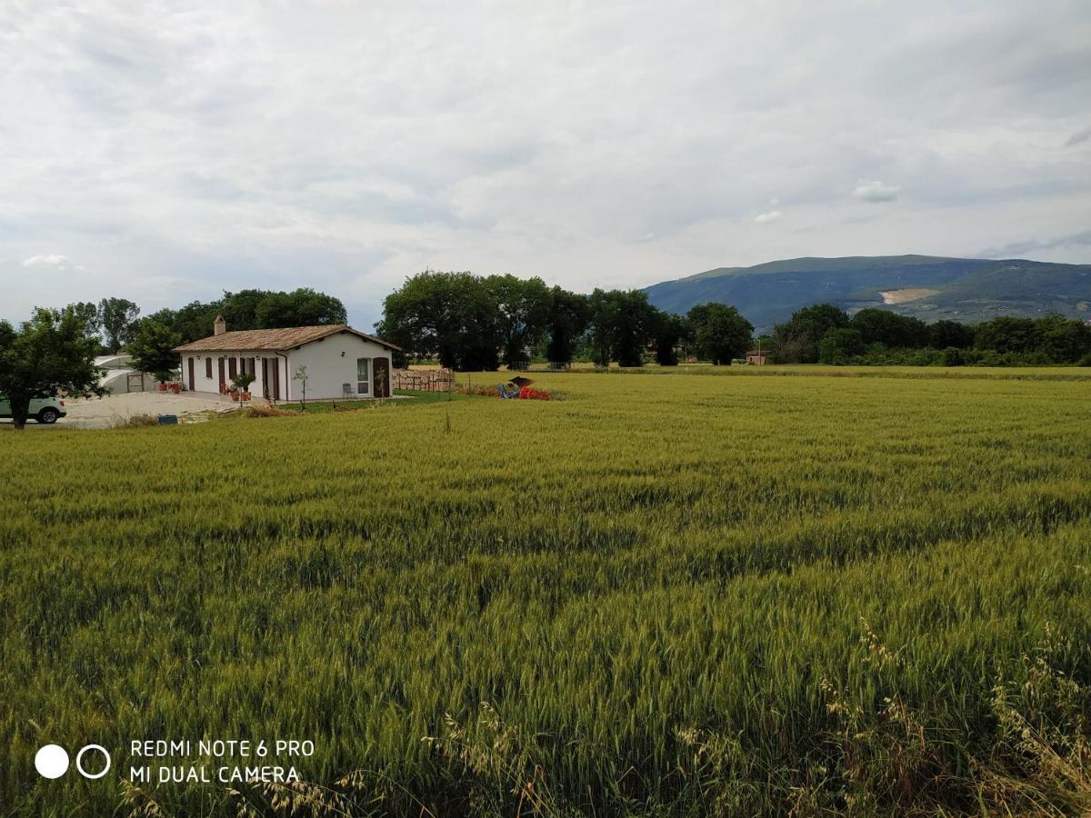 Agriturismo  Le Serre Spello Esterno foto