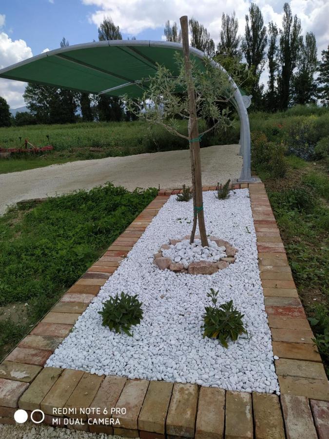 Agriturismo  Le Serre Spello Esterno foto